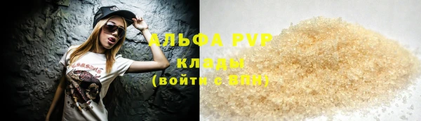 прущие грибы Баксан