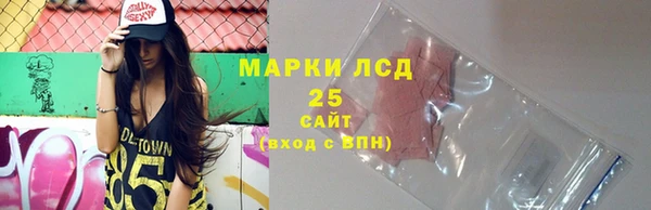 прущие грибы Балахна