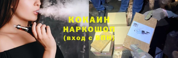 крисы Каменногорск