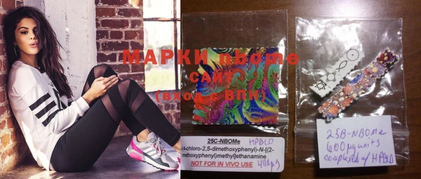 прущие грибы Баксан