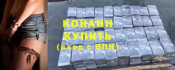 прущие грибы Балахна