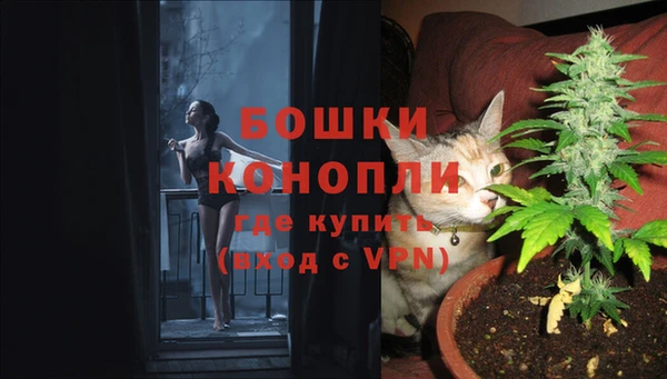 прущие грибы Баксан