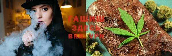 прущие грибы Балахна