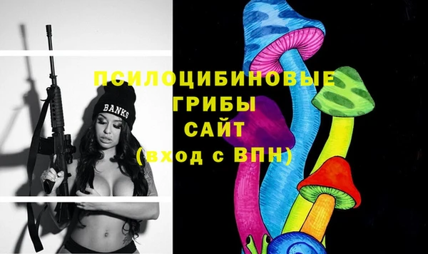 прущие грибы Баксан